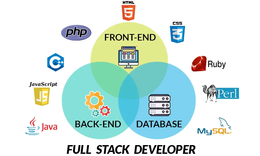 Full Stack Developer